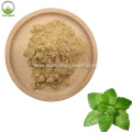 Lemon Balm Herb Extract Used For Supplement